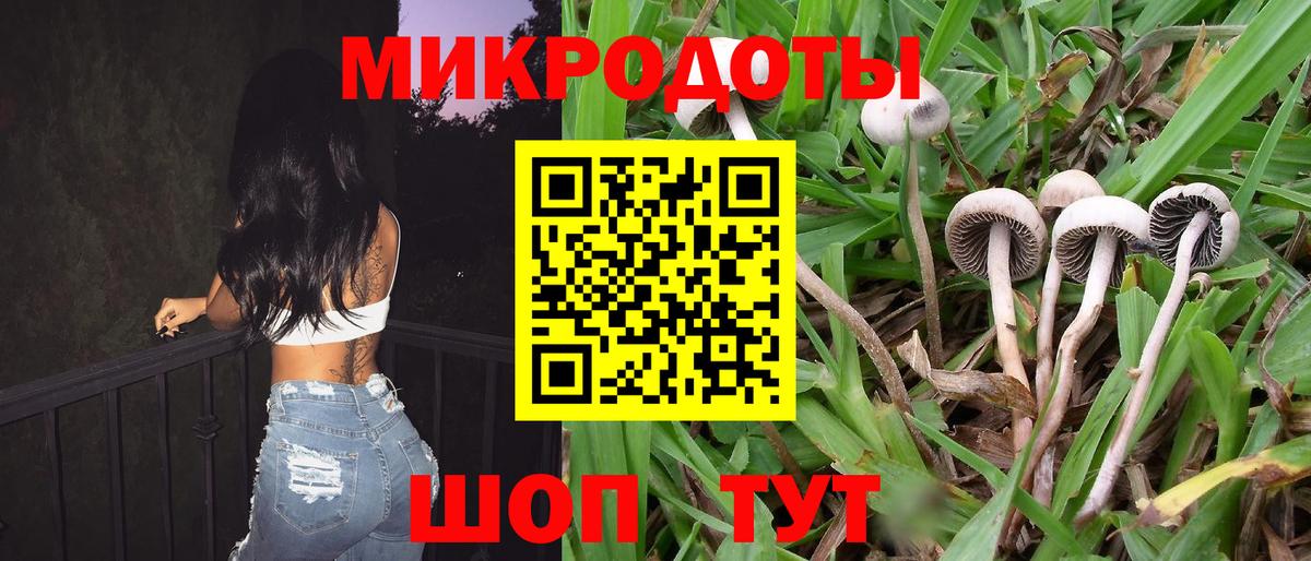 Псилоцибиновые грибы Cubensis  Галлюциногенные грибы Psilocybe  Ногинск  Вход с VPN 